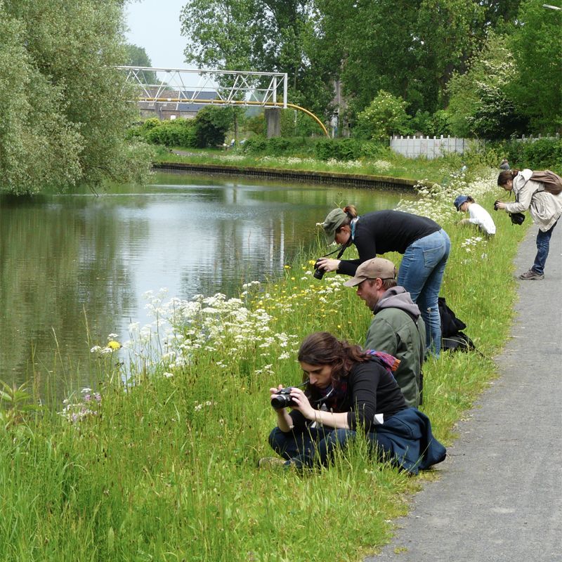 Sciences participatives 2.0 : Concept du Museum National d’Histoire Naturelle